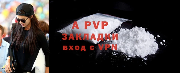 сатива Няндома
