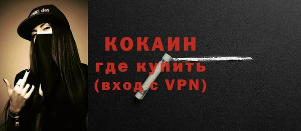 гашик Осташков