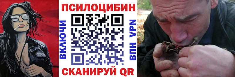 нарко площадка телеграм  купить наркотики сайты  Рыбное  Галлюциногенные грибы Cubensis 